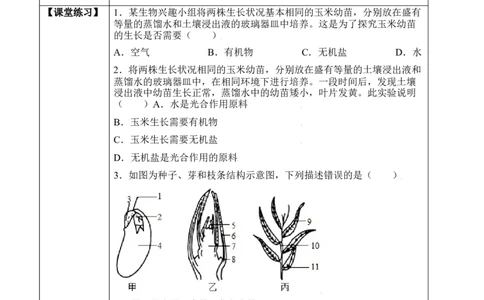 3.2.2植株的生长（学案）-2022-2023学年七年级生物上册同步优质备课资源（人教版）_1、初中学习资料_4-6、生物_4-6-1、初一生物上册_同步练习-138份_1、同步第1套新更新23份