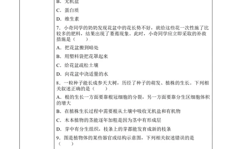 3.2.2植株的生长（学案）-2022-2023学年七年级生物上册同步优质备课资源（人教版）_1、初中学习资料_4-6、生物_4-6-1、初一生物上册_同步练习-138份_1、同步第1套新更新23份
