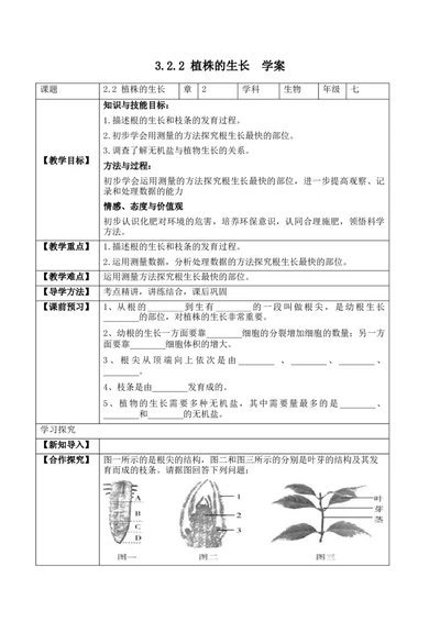 3.2.2植株的生长（学案）-2022-2023学年七年级生物上册同步优质备课资源（人教版）_1、初中学习资料_4-6、生物_4-6-1、初一生物上册_同步练习-138份_1、同步第1套新更新23份