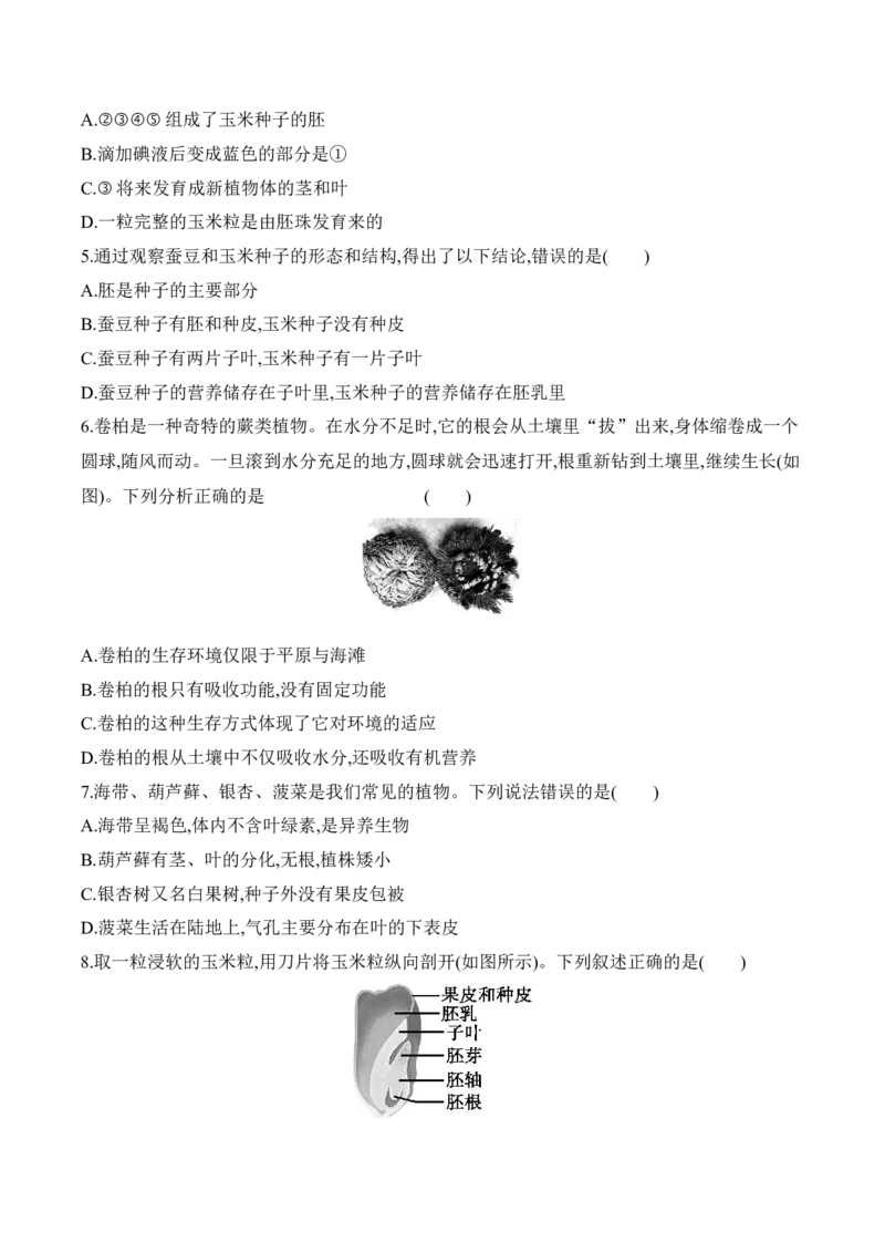 3.1.2种子植物（习题）-2022-2023学年七年级生物上册同步优质备课资源（人教版）（原卷版）_1、初中学习资料_4-6、生物_4-6-1、初一生物上册_同步练习-138份_1、同步第1套新更新23份