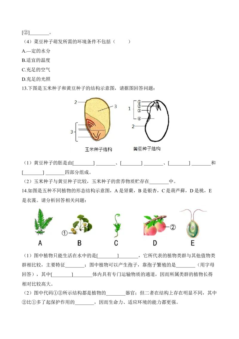 3.1.2种子植物（习题）-2022-2023学年七年级生物上册同步优质备课资源（人教版）（原卷版）_1、初中学习资料_4-6、生物_4-6-1、初一生物上册_同步练习-138份_1、同步第1套新更新23份