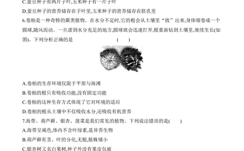 3.1.2种子植物（习题）-2022-2023学年七年级生物上册同步优质备课资源（人教版）（原卷版）_1、初中学习资料_4-6、生物_4-6-1、初一生物上册_同步练习-138份_1、同步第1套新更新23份
