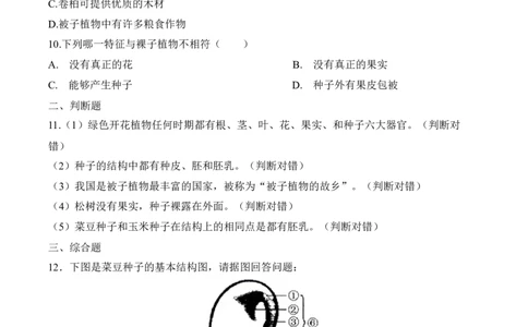 3.1.2种子植物（习题）-2022-2023学年七年级生物上册同步优质备课资源（人教版）（原卷版）_1、初中学习资料_4-6、生物_4-6-1、初一生物上册_同步练习-138份_1、同步第1套新更新23份