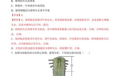 3.2.2植株的生长（习题）-2022-2023学年七年级生物上册同步优质备课资源（人教版）（解析版）_1、初中学习资料_4-6、生物_4-6-1、初一生物上册_同步练习-138份_1、同步第1套新更新23份