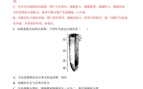 3.2.2植株的生长（习题）-2022-2023学年七年级生物上册同步优质备课资源（人教版）（解析版）_1、初中学习资料_4-6、生物_4-6-1、初一生物上册_同步练习-138份_1、同步第1套新更新23份