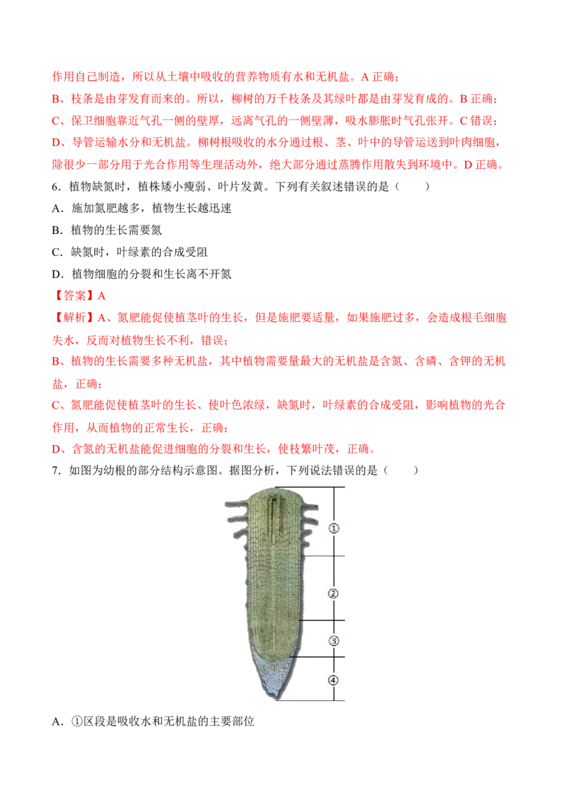 3.2.2植株的生长（习题）-2022-2023学年七年级生物上册同步优质备课资源（人教版）（解析版）_1、初中学习资料_4-6、生物_4-6-1、初一生物上册_同步练习-138份_1、同步第1套新更新23份
