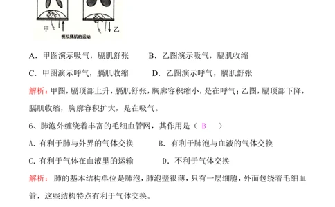 3-2发生在肺内的气体交换同步练习含答案_1、初中学习资料_4-6、生物_4-6-2、初一生物下册_同步练习（89份）_同步练习第2套（69份）_4.3人体的呼吸_第2节发生在肺内的气体交换