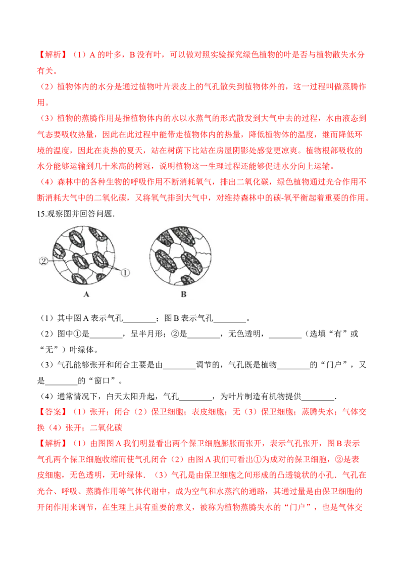 3.3绿色植物与生物圈的水循环（习题）-2022-2023学年七年级生物上册同步优质备课资源（人教版）（解析版）_1、初中学习资料_4-6、生物_4-6-1、初一生物上册_同步练习-138份