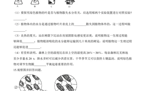 3.3绿色植物与生物圈的水循环（习题）-2022-2023学年七年级生物上册同步优质备课资源（人教版）（原卷版）_1、初中学习资料_4-6、生物_4-6-1、初一生物上册_同步练习-138份