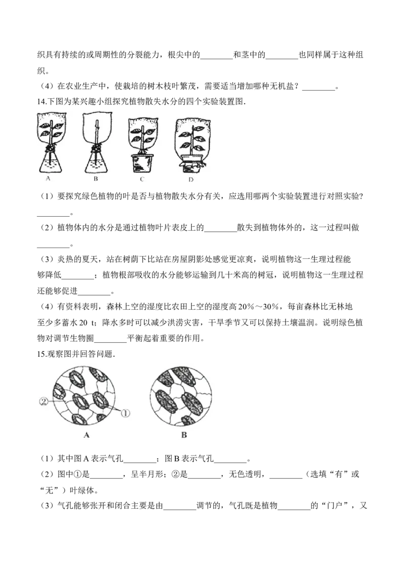 3.3绿色植物与生物圈的水循环（习题）-2022-2023学年七年级生物上册同步优质备课资源（人教版）（原卷版）_1、初中学习资料_4-6、生物_4-6-1、初一生物上册_同步练习-138份