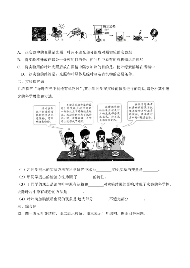 3.4绿色植物是生物圈中有机物的制造者（习题）-2022-2023学年七年级生物上册同步优质备课资源（人教版）（原卷版）_1、初中学习资料_4-6、生物_4-6-1、初一生物上册_同步练习-138份