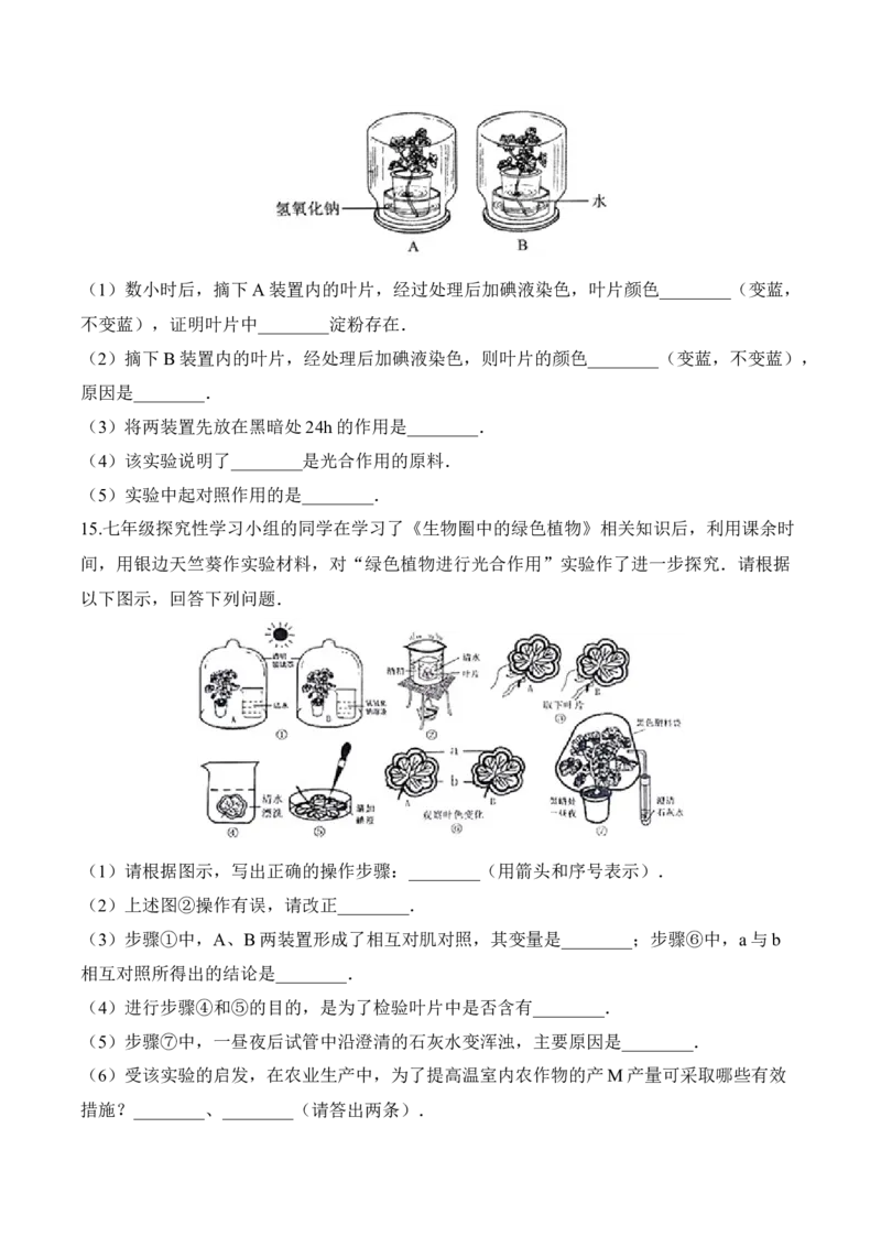 3.4绿色植物是生物圈中有机物的制造者（习题）-2022-2023学年七年级生物上册同步优质备课资源（人教版）（原卷版）_1、初中学习资料_4-6、生物_4-6-1、初一生物上册_同步练习-138份