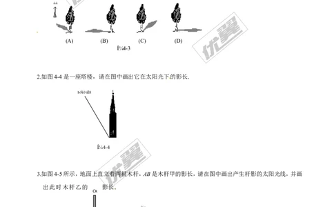 5.1第2课时平行投影与正投影_1、初中学习资料_4-2、数学_北师大版_北师大版初中数学9上_2022秋九数上(BS)--各阶段精品试题_同步练习