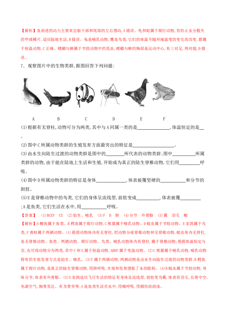 5.1.7哺乳动物-2022-2023学年八年级生物上册课后培优分级练（人教版）（解析版）_1、初中学习资料_4-6、生物_4-6-3、初二生物上册_1、同步练习（50份）