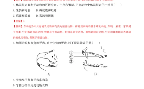 5.1.7哺乳动物-2022-2023学年八年级生物上册课后培优分级练（人教版）（解析版）_1、初中学习资料_4-6、生物_4-6-3、初二生物上册_1、同步练习（50份）