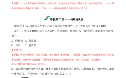 5.1.7哺乳动物-2022-2023学年八年级生物上册课后培优分级练（人教版）（解析版）_1、初中学习资料_4-6、生物_4-6-3、初二生物上册_1、同步练习（50份）
