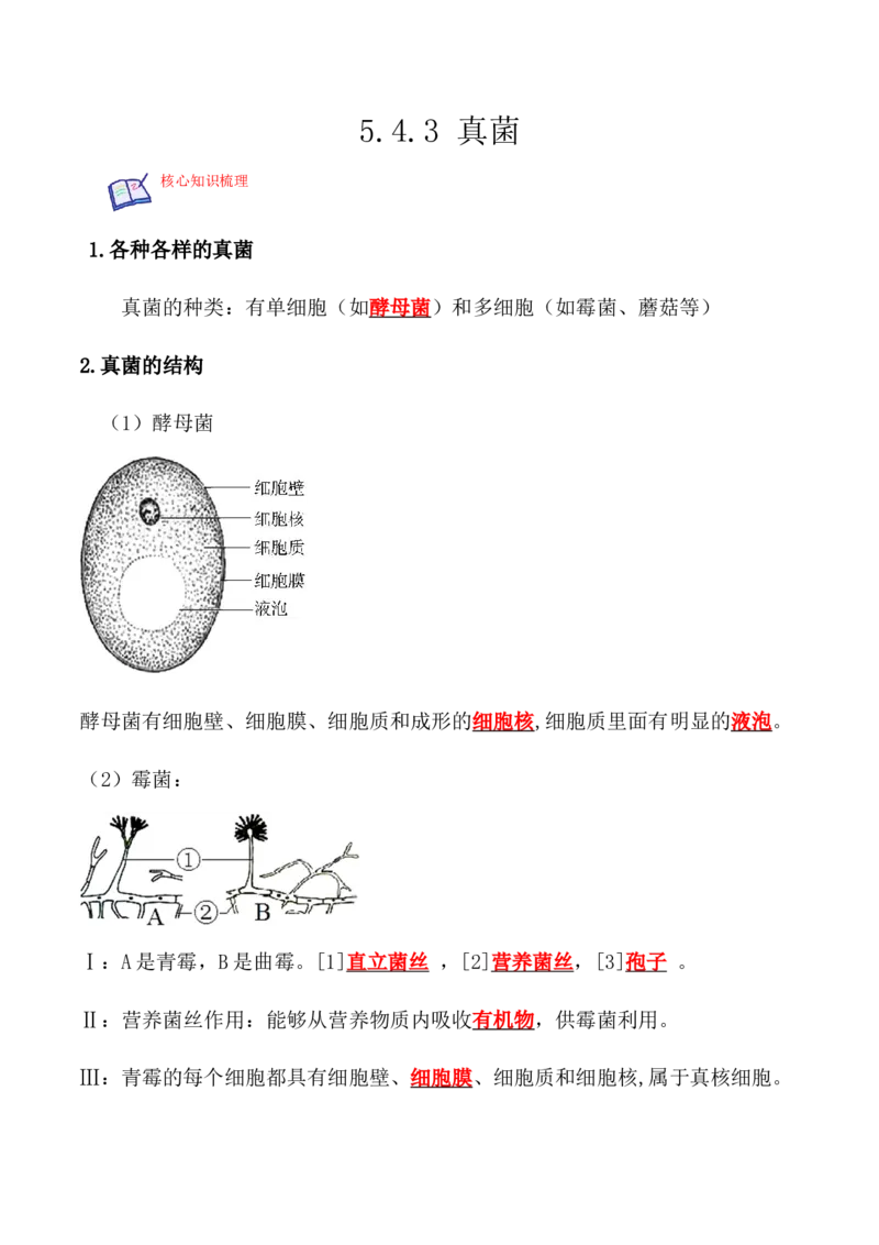 5.4.3真菌-2022-2023学年八年级生物上册课后培优分级练（人教版）（解析版）_1、初中学习资料_4-6、生物_4-6-3、初二生物上册_1、同步练习（50份）