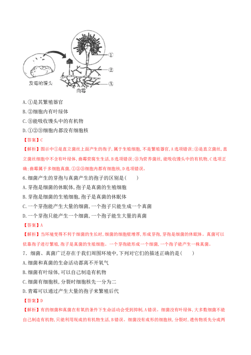 5.4.3真菌-2022-2023学年八年级生物上册课后培优分级练（人教版）（解析版）_1、初中学习资料_4-6、生物_4-6-3、初二生物上册_1、同步练习（50份）