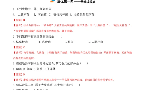 5.4.3真菌-2022-2023学年八年级生物上册课后培优分级练（人教版）（解析版）_1、初中学习资料_4-6、生物_4-6-3、初二生物上册_1、同步练习（50份）