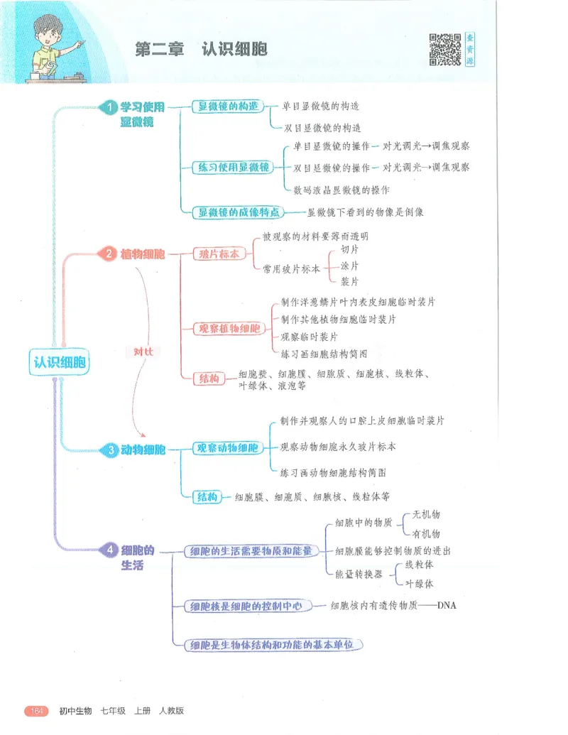 53-初中同步-7上-生物人教版全解版_1、初中学习资料_24秋试卷_2025版《53&bull;初中同步》上册全科