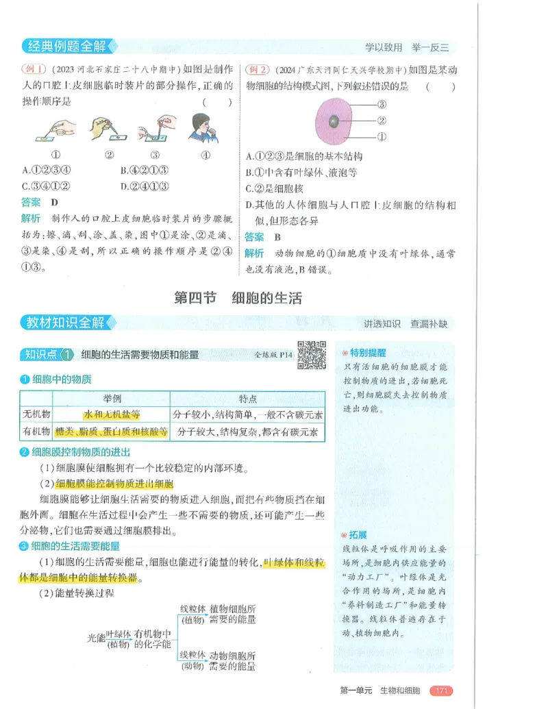 53-初中同步-7上-生物人教版全解版_1、初中学习资料_24秋试卷_2025版《53&bull;初中同步》上册全科