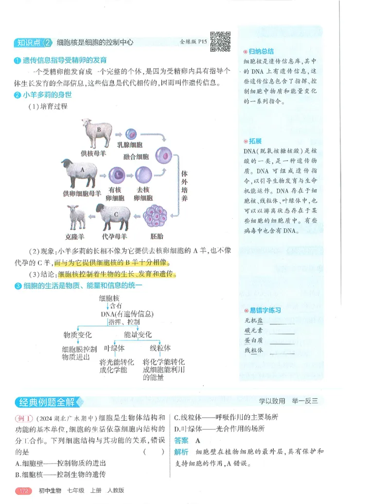 53-初中同步-7上-生物人教版全解版_1、初中学习资料_24秋试卷_2025版《53&bull;初中同步》上册全科