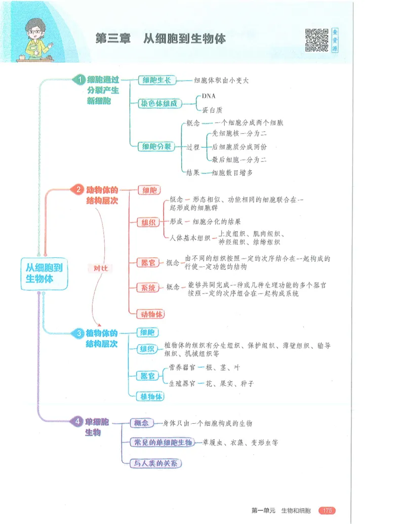 53-初中同步-7上-生物人教版全解版_1、初中学习资料_24秋试卷_2025版《53&bull;初中同步》上册全科