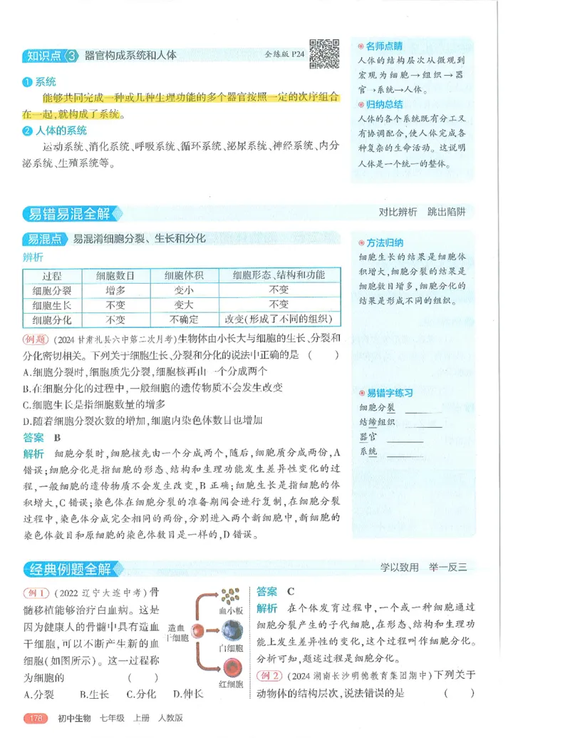 53-初中同步-7上-生物人教版全解版_1、初中学习资料_24秋试卷_2025版《53&bull;初中同步》上册全科