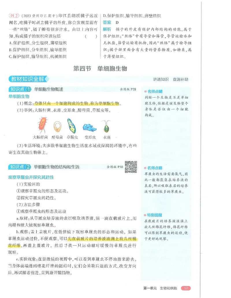 53-初中同步-7上-生物人教版全解版_1、初中学习资料_24秋试卷_2025版《53&bull;初中同步》上册全科
