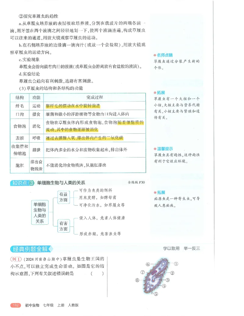 53-初中同步-7上-生物人教版全解版_1、初中学习资料_24秋试卷_2025版《53&bull;初中同步》上册全科