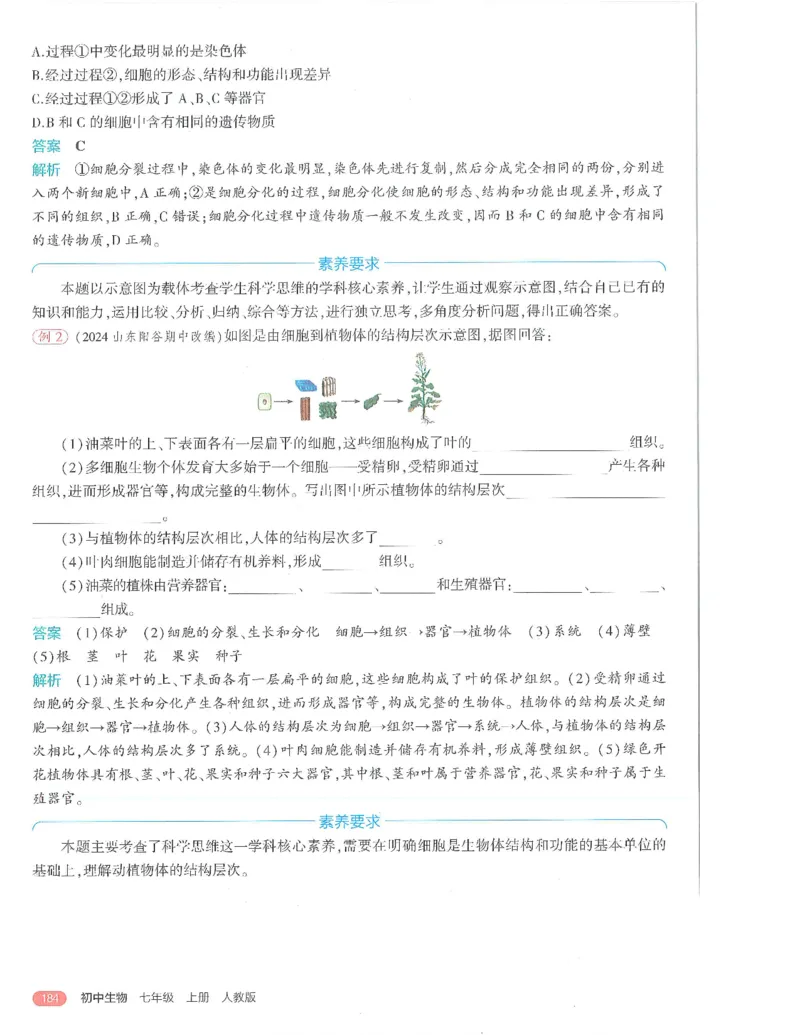 53-初中同步-7上-生物人教版全解版_1、初中学习资料_24秋试卷_2025版《53&bull;初中同步》上册全科