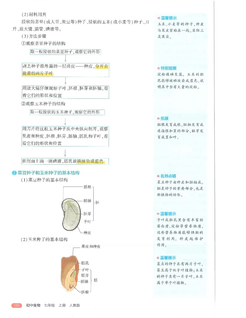 53-初中同步-7上-生物人教版全解版_1、初中学习资料_24秋试卷_2025版《53&bull;初中同步》上册全科