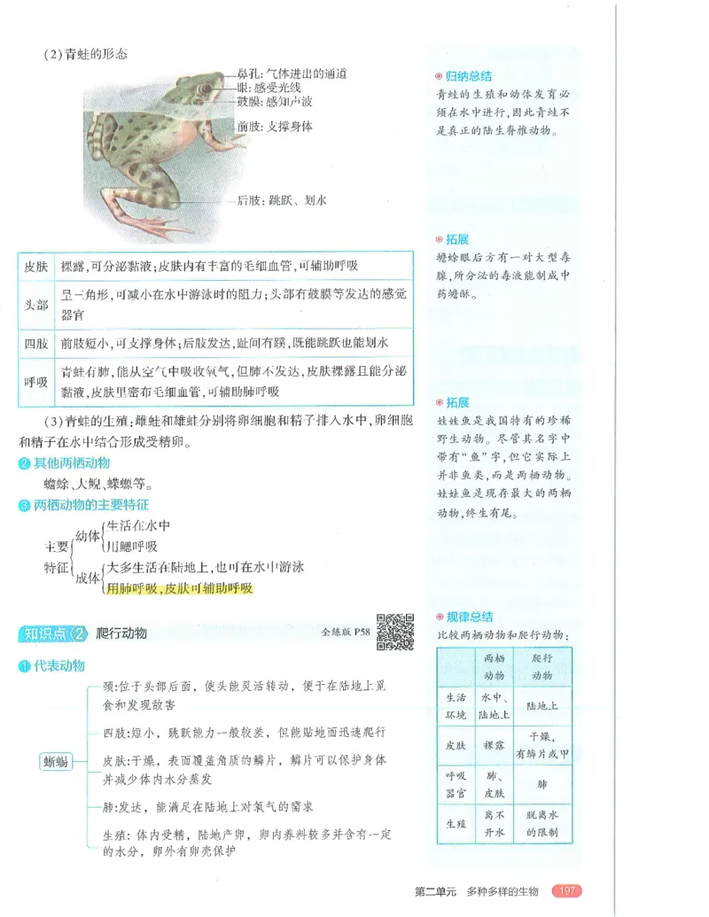 53-初中同步-7上-生物人教版全解版_1、初中学习资料_24秋试卷_2025版《53&bull;初中同步》上册全科