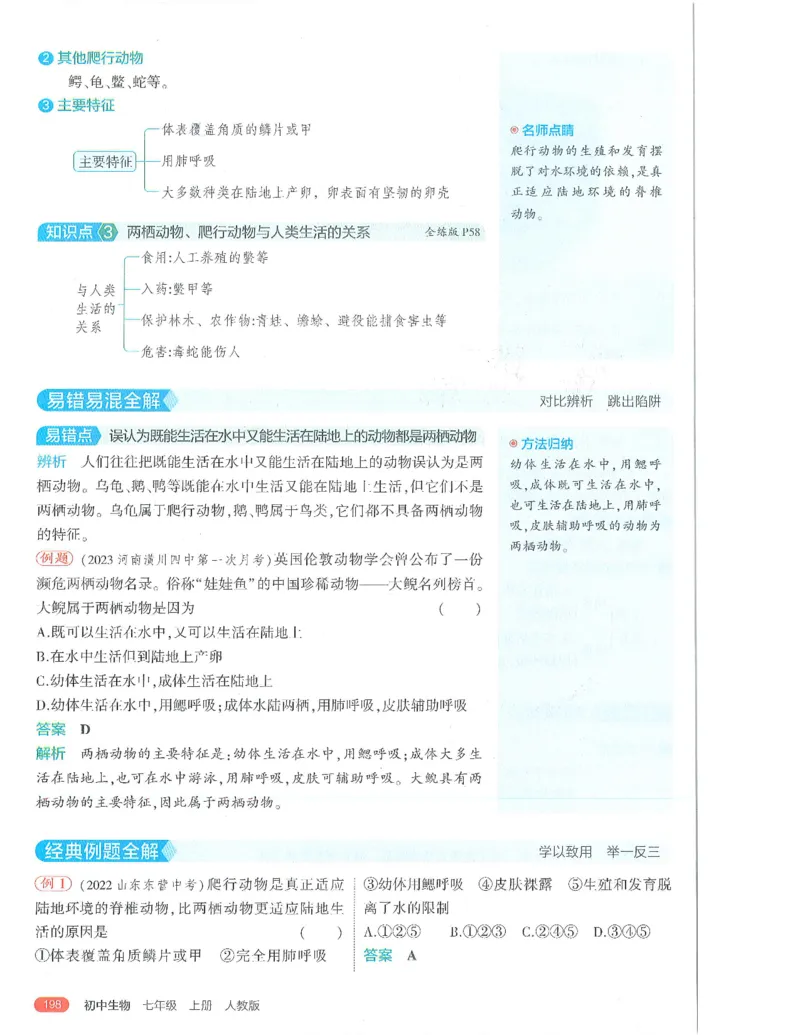 53-初中同步-7上-生物人教版全解版_1、初中学习资料_24秋试卷_2025版《53&bull;初中同步》上册全科