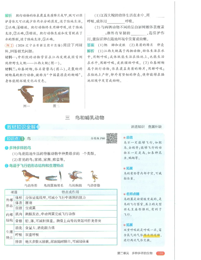 53-初中同步-7上-生物人教版全解版_1、初中学习资料_24秋试卷_2025版《53&bull;初中同步》上册全科