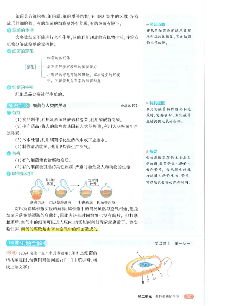 53-初中同步-7上-生物人教版全解版_1、初中学习资料_24秋试卷_2025版《53&bull;初中同步》上册全科