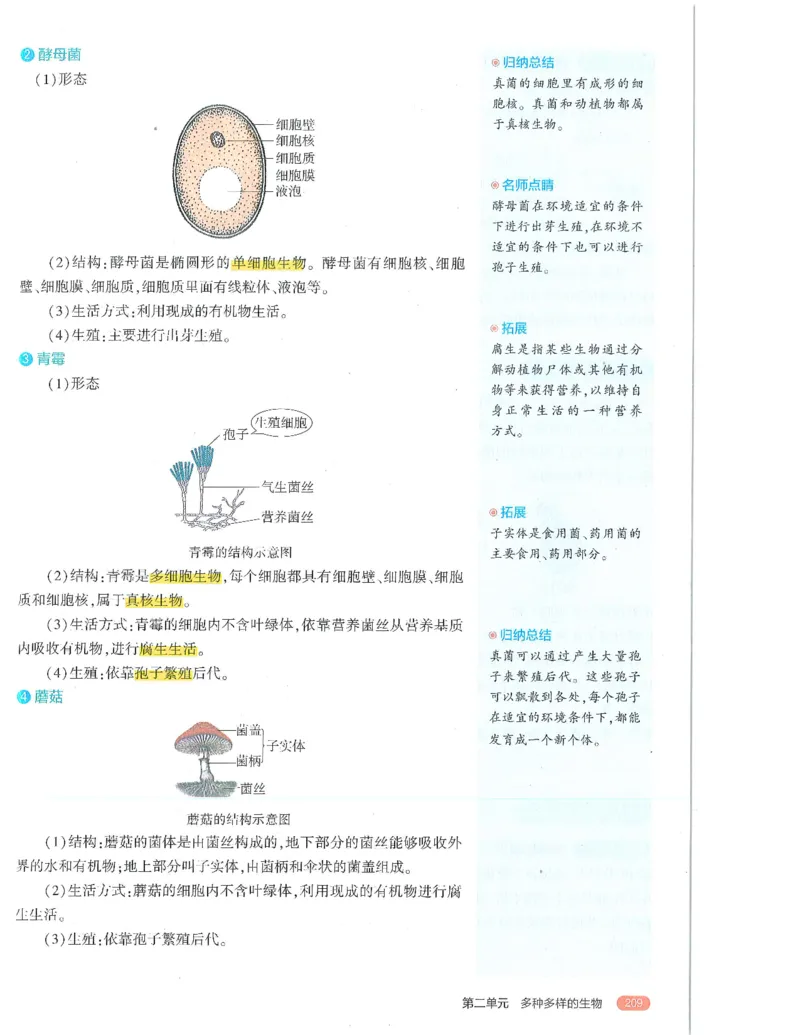 53-初中同步-7上-生物人教版全解版_1、初中学习资料_24秋试卷_2025版《53&bull;初中同步》上册全科