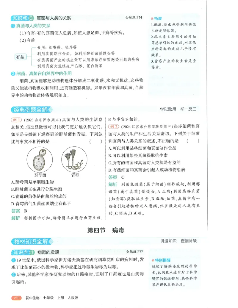 53-初中同步-7上-生物人教版全解版_1、初中学习资料_24秋试卷_2025版《53&bull;初中同步》上册全科