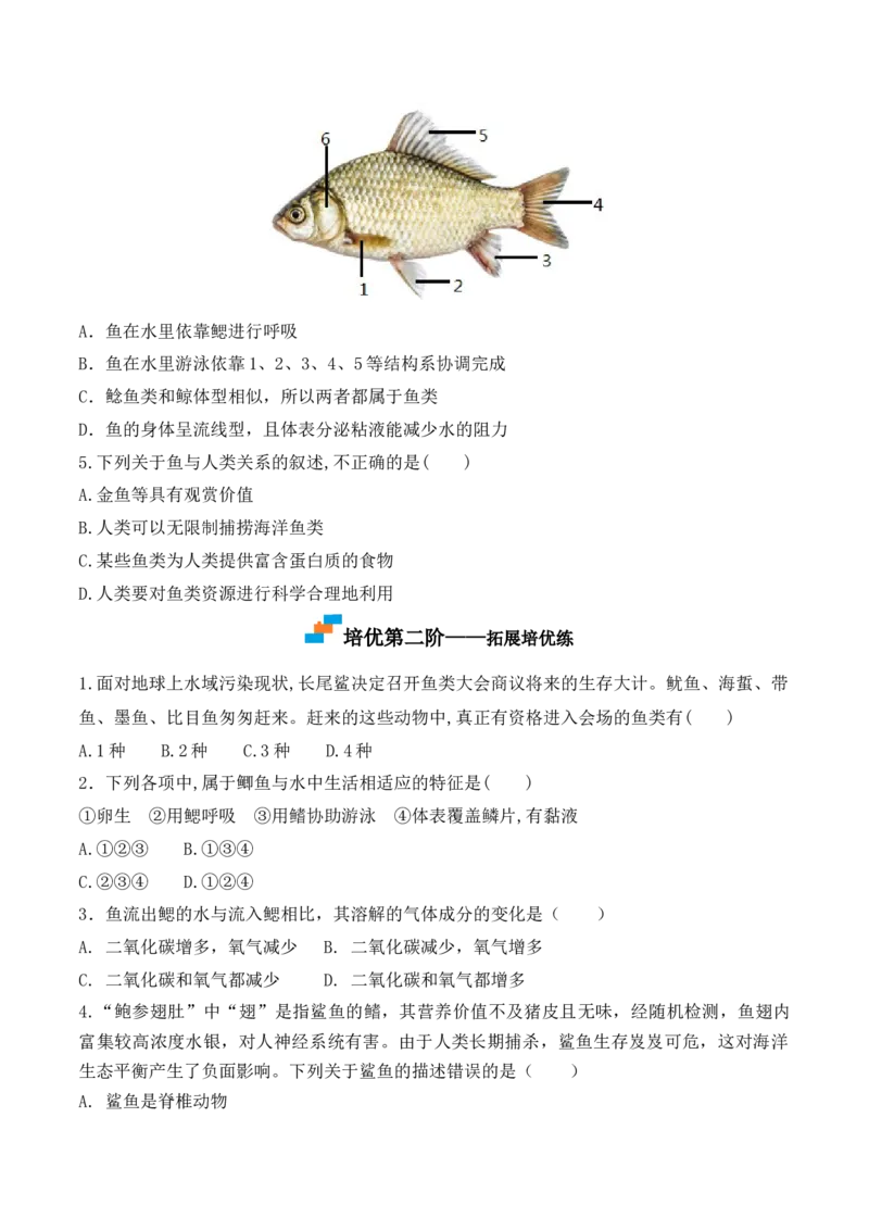 5.1.4鱼-2022-2023学年八年级生物上册课后培优分级练（人教版）（原卷版）_1、初中学习资料_4-6、生物_4-6-3、初二生物上册_1、同步练习（50份）