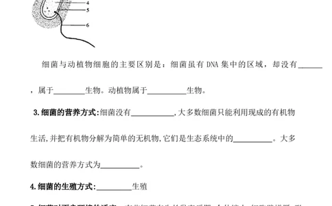 5.4.2细菌-2022-2023学年八年级生物上册课后培优分级练（人教版）（原卷版）_1、初中学习资料_4-6、生物_4-6-3、初二生物上册_1、同步练习（50份）