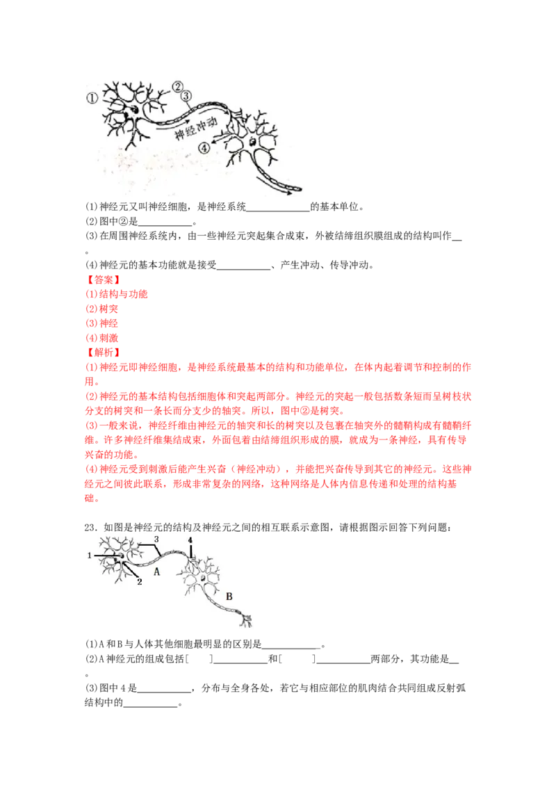 4.6.2神经系统的组成-练学堂2021-2022学年七年级生物下学期同步习题精练（人教版）（解析版）_1、初中学习资料_4-6、生物_4-6-2、初一生物下册_同步练习（89份）