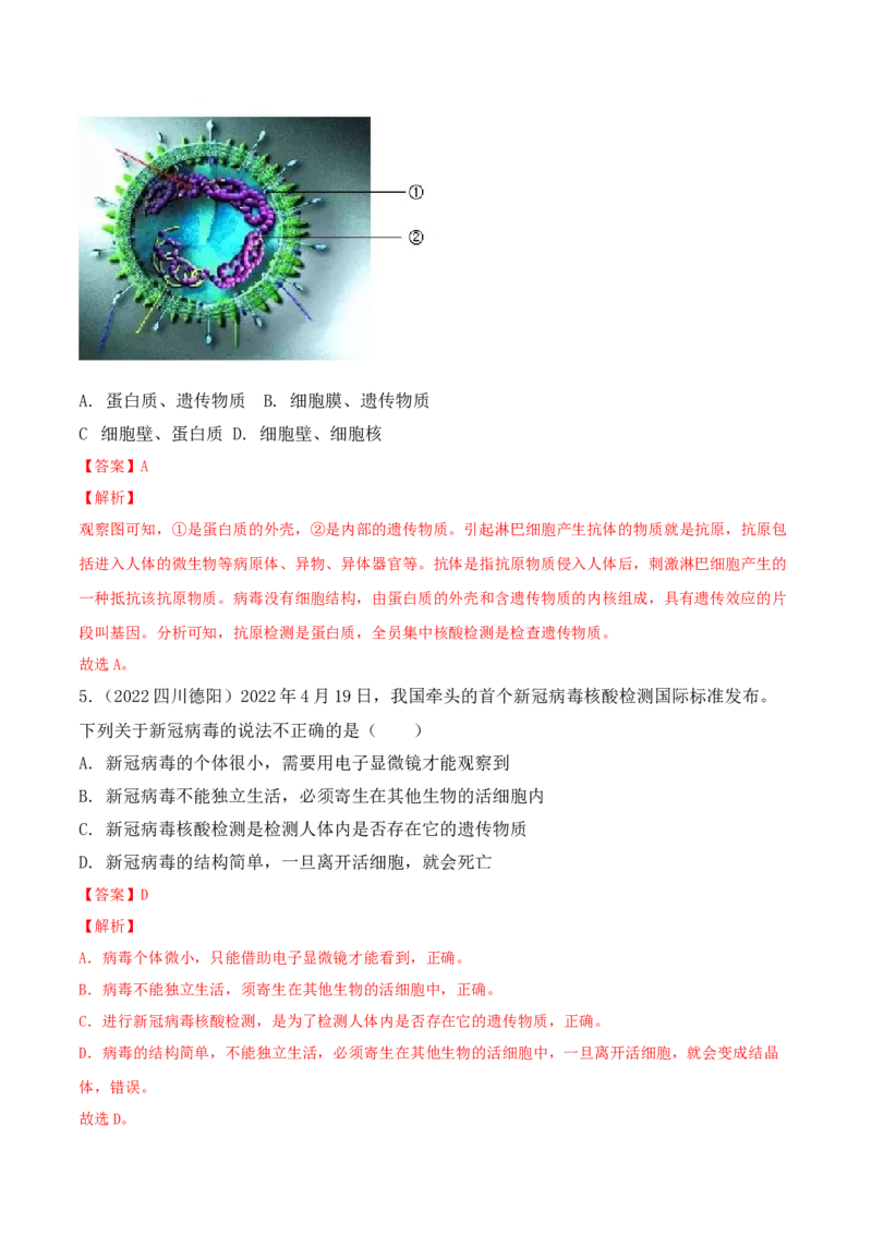 5.5病毒-2022-2023学年八年级生物上册课后培优分级练（人教版）（解析版）_1、初中学习资料_4-6、生物_4-6-3、初二生物上册_1、同步练习（50份）
