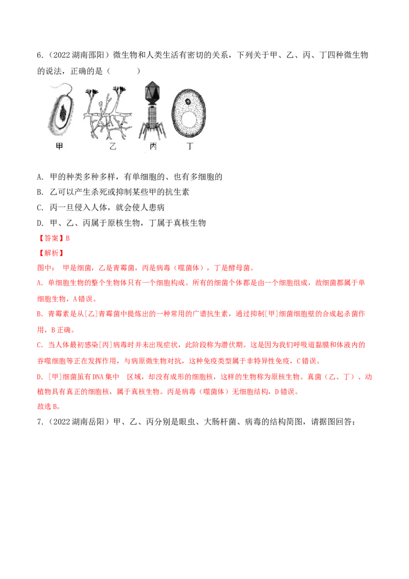 5.5病毒-2022-2023学年八年级生物上册课后培优分级练（人教版）（解析版）_1、初中学习资料_4-6、生物_4-6-3、初二生物上册_1、同步练习（50份）