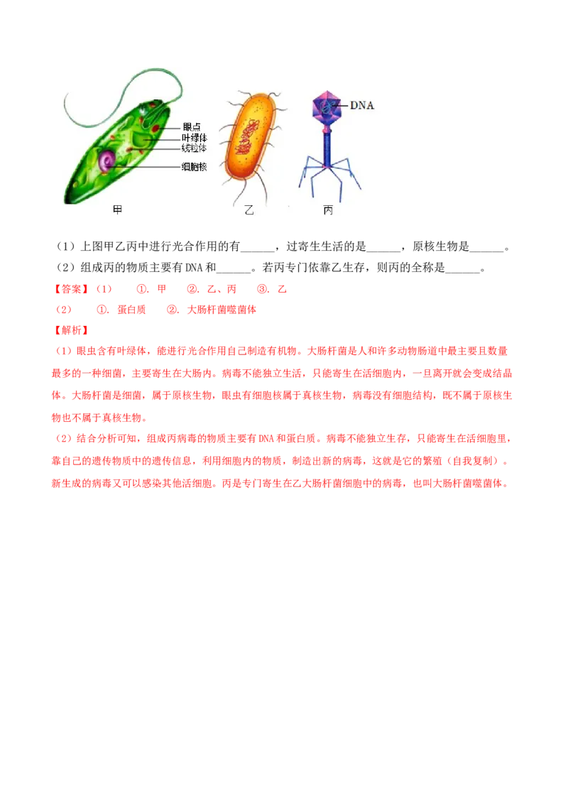 5.5病毒-2022-2023学年八年级生物上册课后培优分级练（人教版）（解析版）_1、初中学习资料_4-6、生物_4-6-3、初二生物上册_1、同步练习（50份）