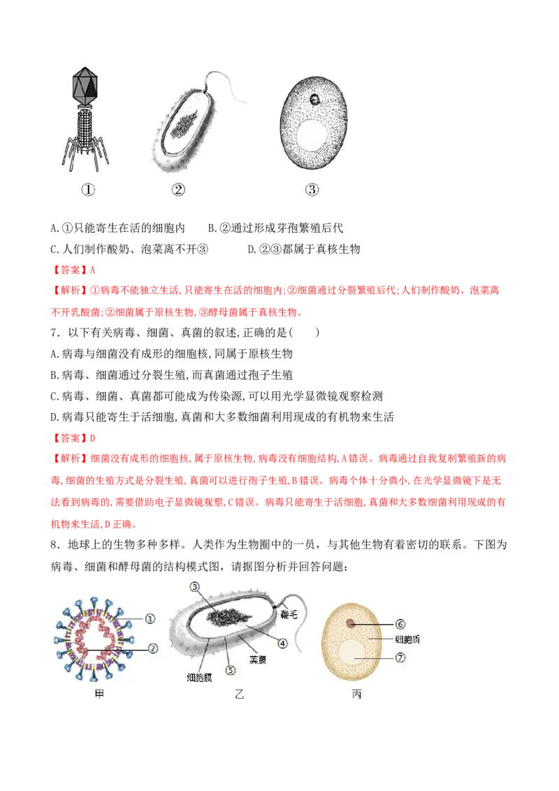 5.5病毒-2022-2023学年八年级生物上册课后培优分级练（人教版）（解析版）_1、初中学习资料_4-6、生物_4-6-3、初二生物上册_1、同步练习（50份）