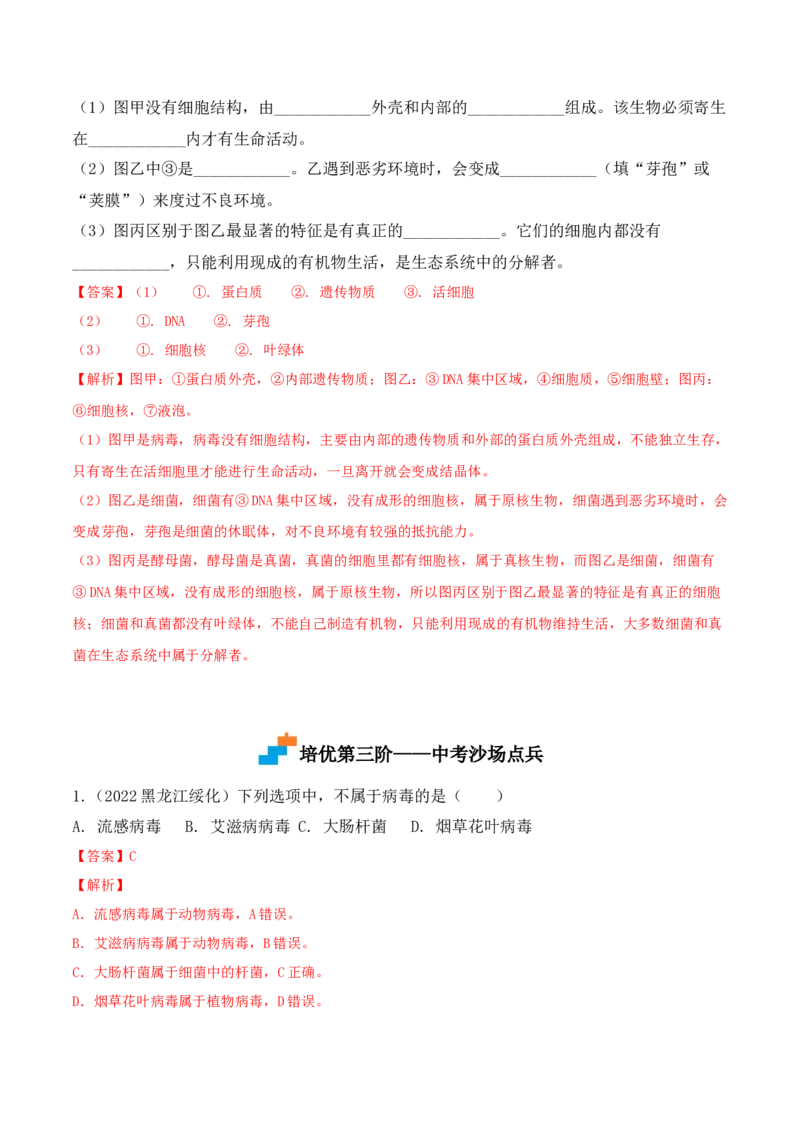 5.5病毒-2022-2023学年八年级生物上册课后培优分级练（人教版）（解析版）_1、初中学习资料_4-6、生物_4-6-3、初二生物上册_1、同步练习（50份）