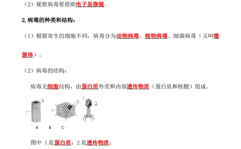 5.5病毒-2022-2023学年八年级生物上册课后培优分级练（人教版）（解析版）_1、初中学习资料_4-6、生物_4-6-3、初二生物上册_1、同步练习（50份）