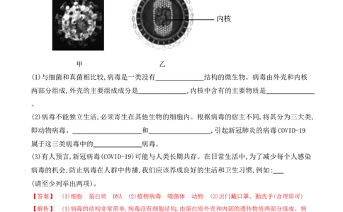 5.5病毒-2022-2023学年八年级生物上册课后培优分级练（人教版）（解析版）_1、初中学习资料_4-6、生物_4-6-3、初二生物上册_1、同步练习（50份）