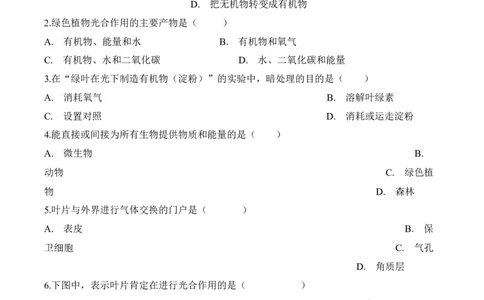 3.5.1光合作用吸收二氧化碳释放氧气（习题）-2022-2023学年七年级生物上册同步优质备课资源（人教版）（原卷版）_1、初中学习资料_4-6、生物_4-6-1、初一生物上册_同步练习-138份