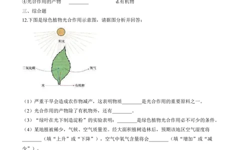 3.5.1光合作用吸收二氧化碳释放氧气（习题）-2022-2023学年七年级生物上册同步优质备课资源（人教版）（原卷版）_1、初中学习资料_4-6、生物_4-6-1、初一生物上册_同步练习-138份